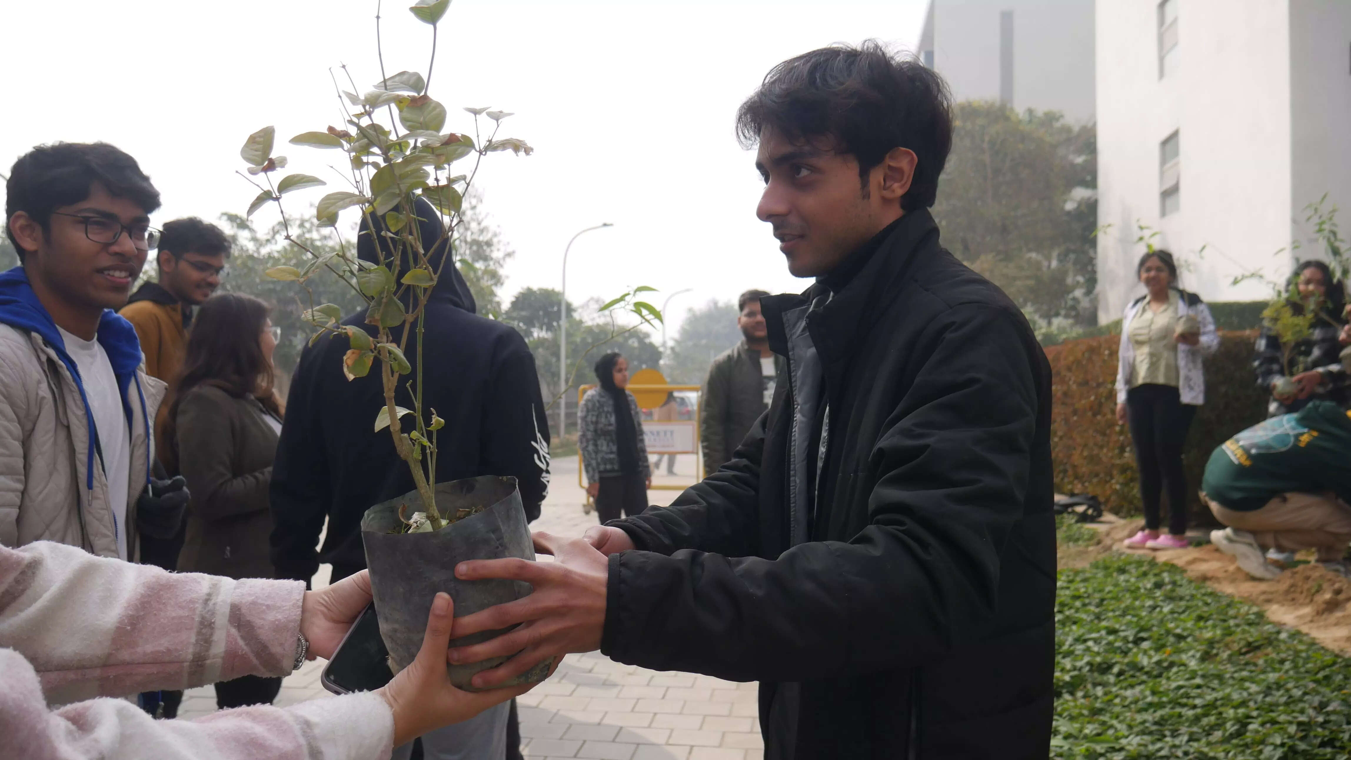 Passing the plants