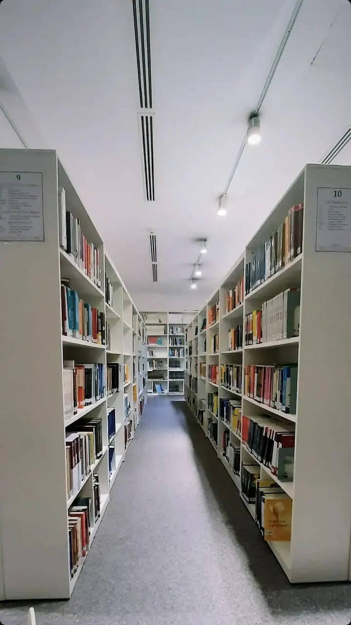 ​In the Quiet: Where Campus Finds Focus