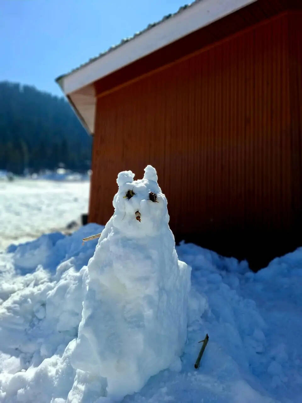 ​“Moments of Joy in the Snow”